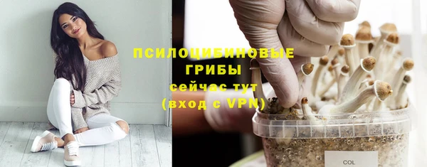 mdpv Богданович